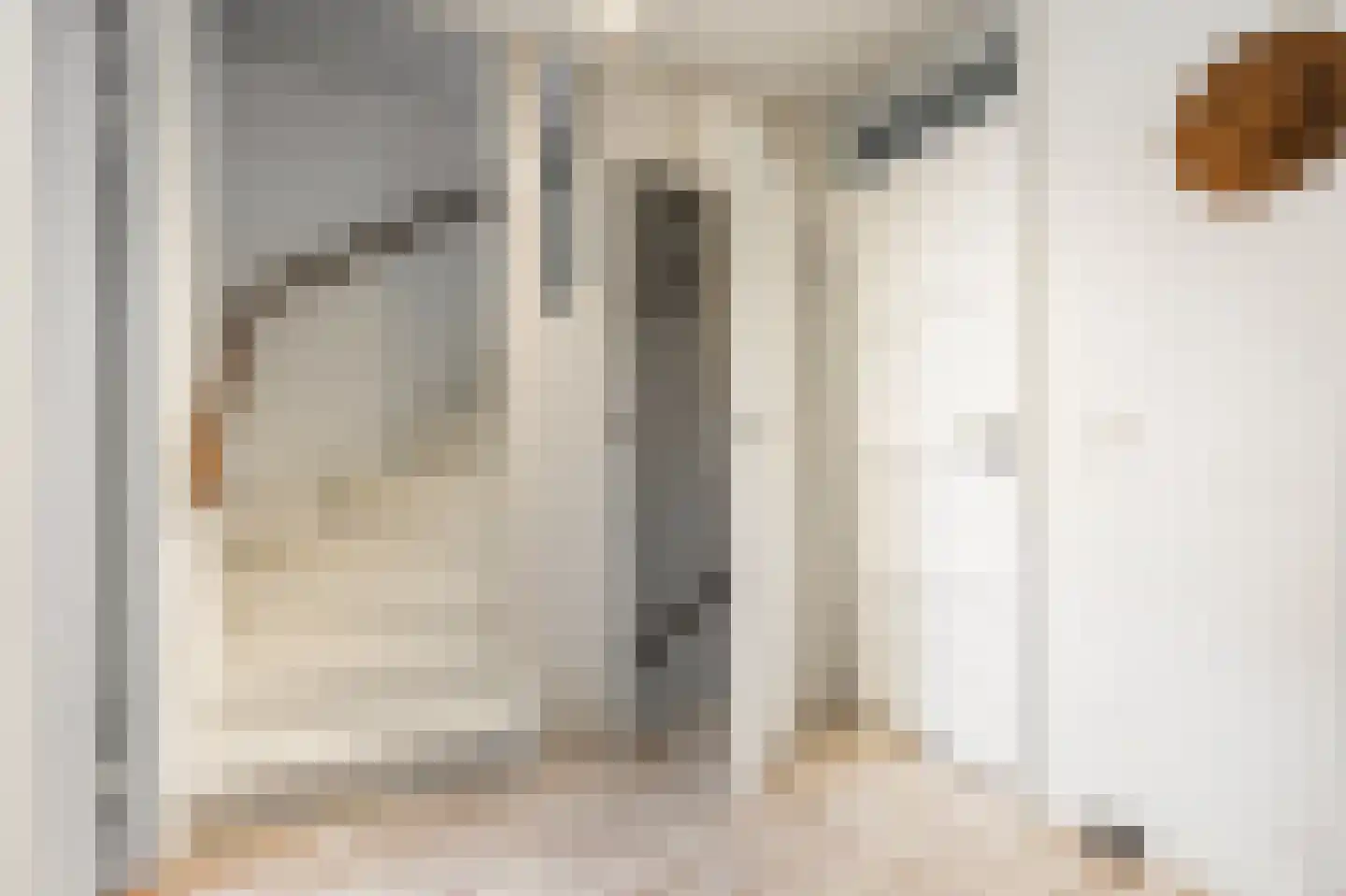 Buitentuin 109 Zaltbommel thumbnail 40