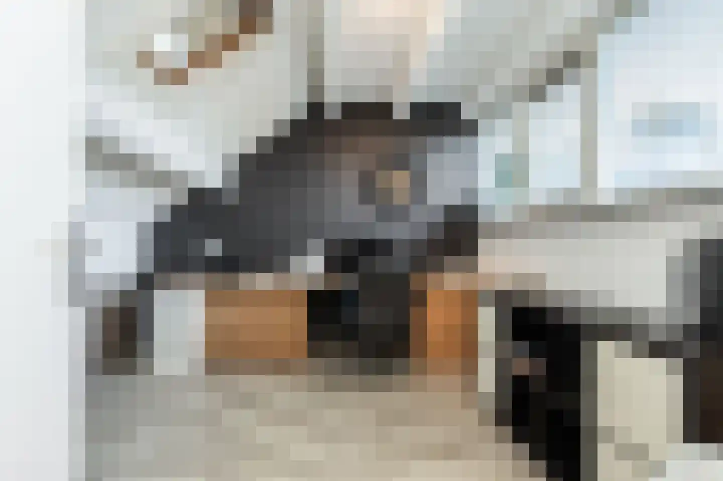 Buitentuin 109 Zaltbommel thumbnail 43