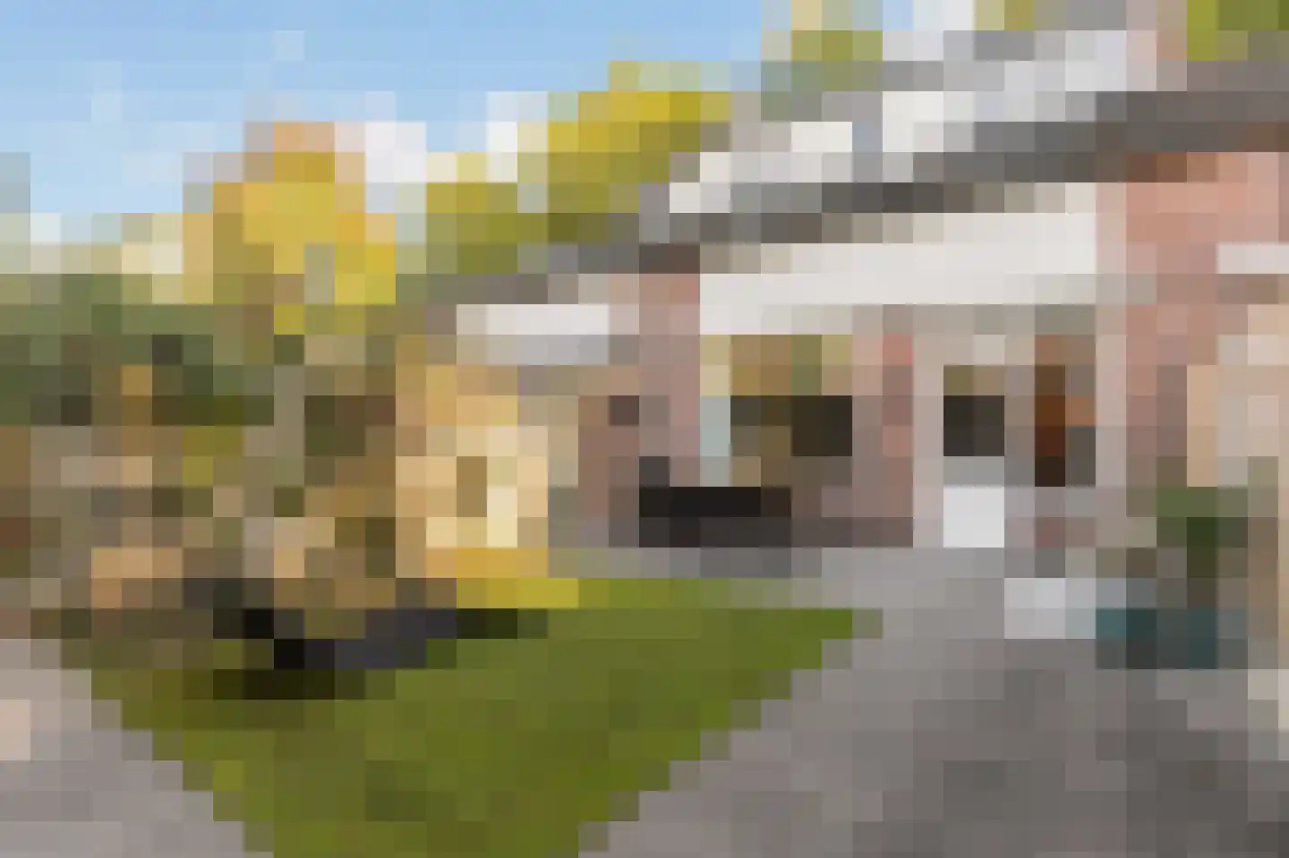 Buitentuin 109 Zaltbommel thumbnail 5