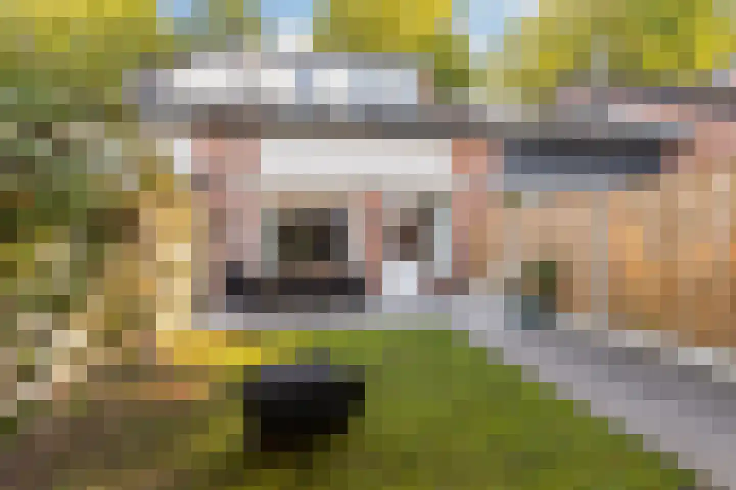 Buitentuin 109 Zaltbommel thumbnail 52