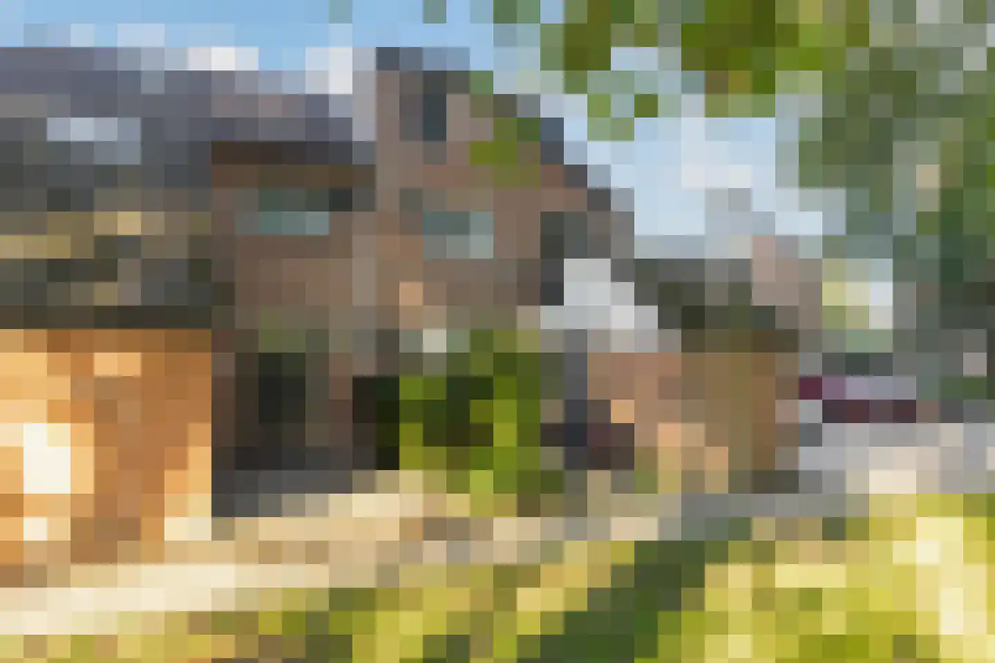 Buitentuin 109 Zaltbommel thumbnail 56
