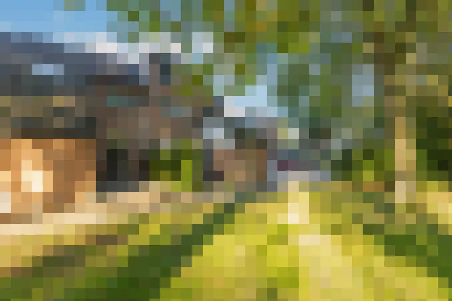 Buitentuin 109 Zaltbommel thumbnail 57