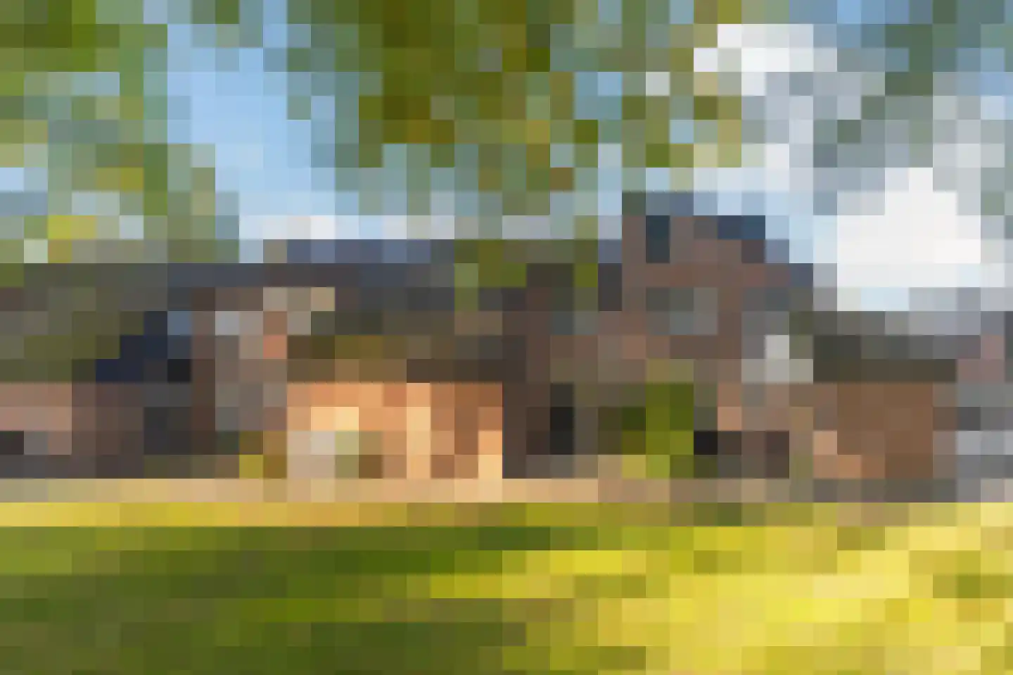 Buitentuin 109 Zaltbommel thumbnail 58