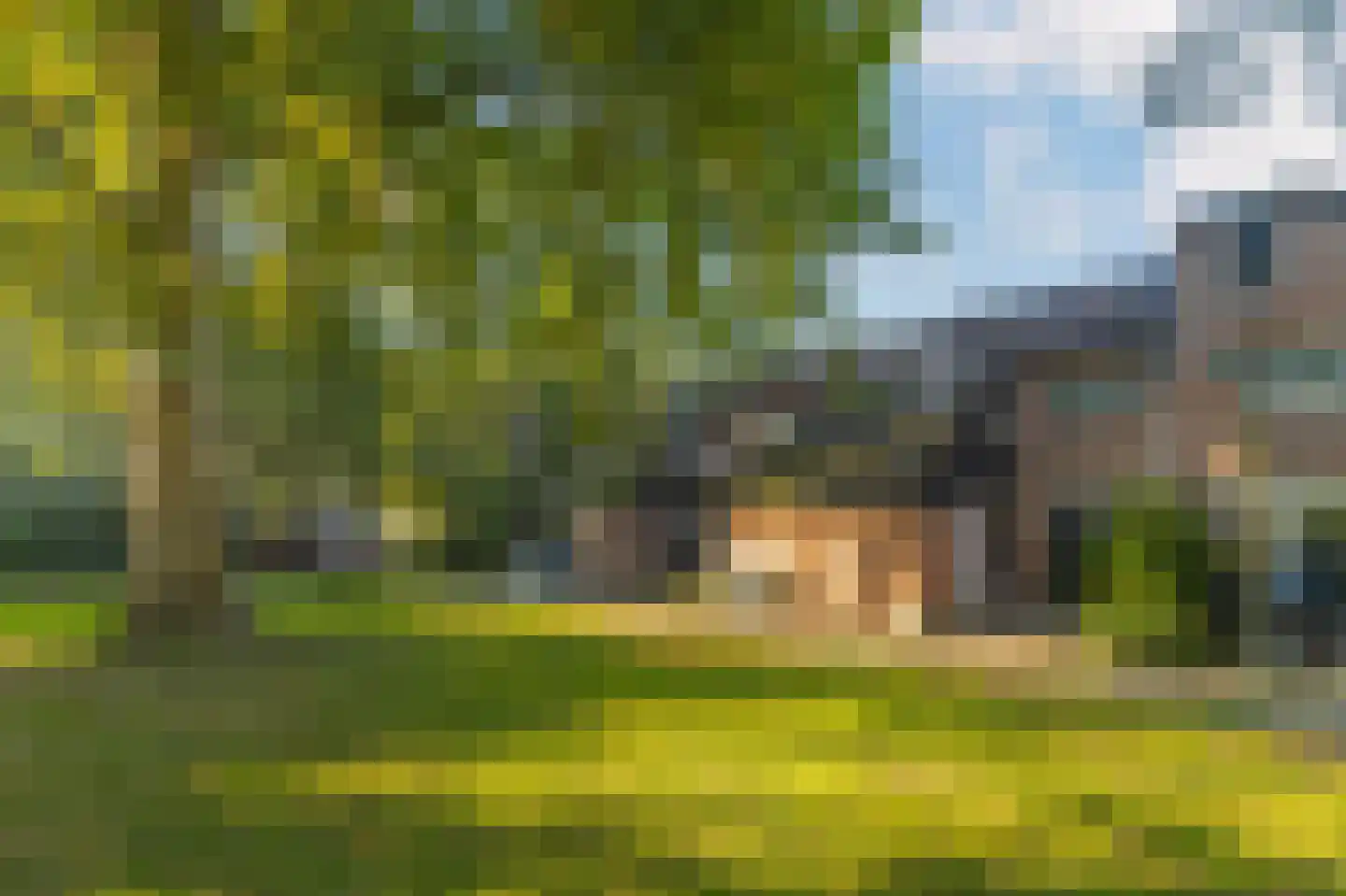 Buitentuin 109 Zaltbommel thumbnail 59