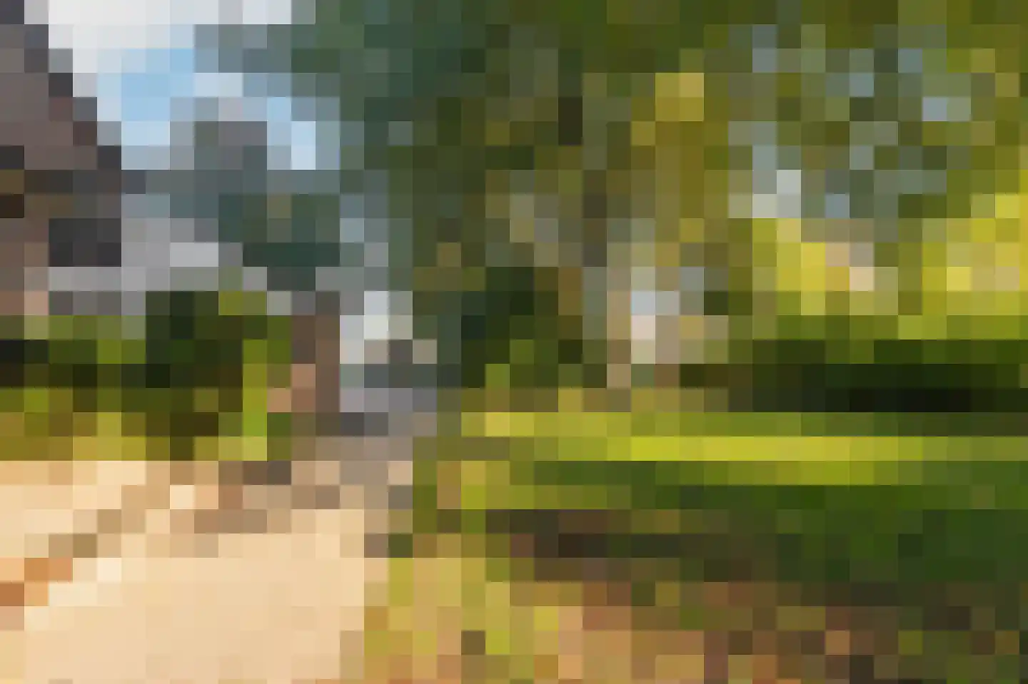 Buitentuin 109 Zaltbommel thumbnail 60