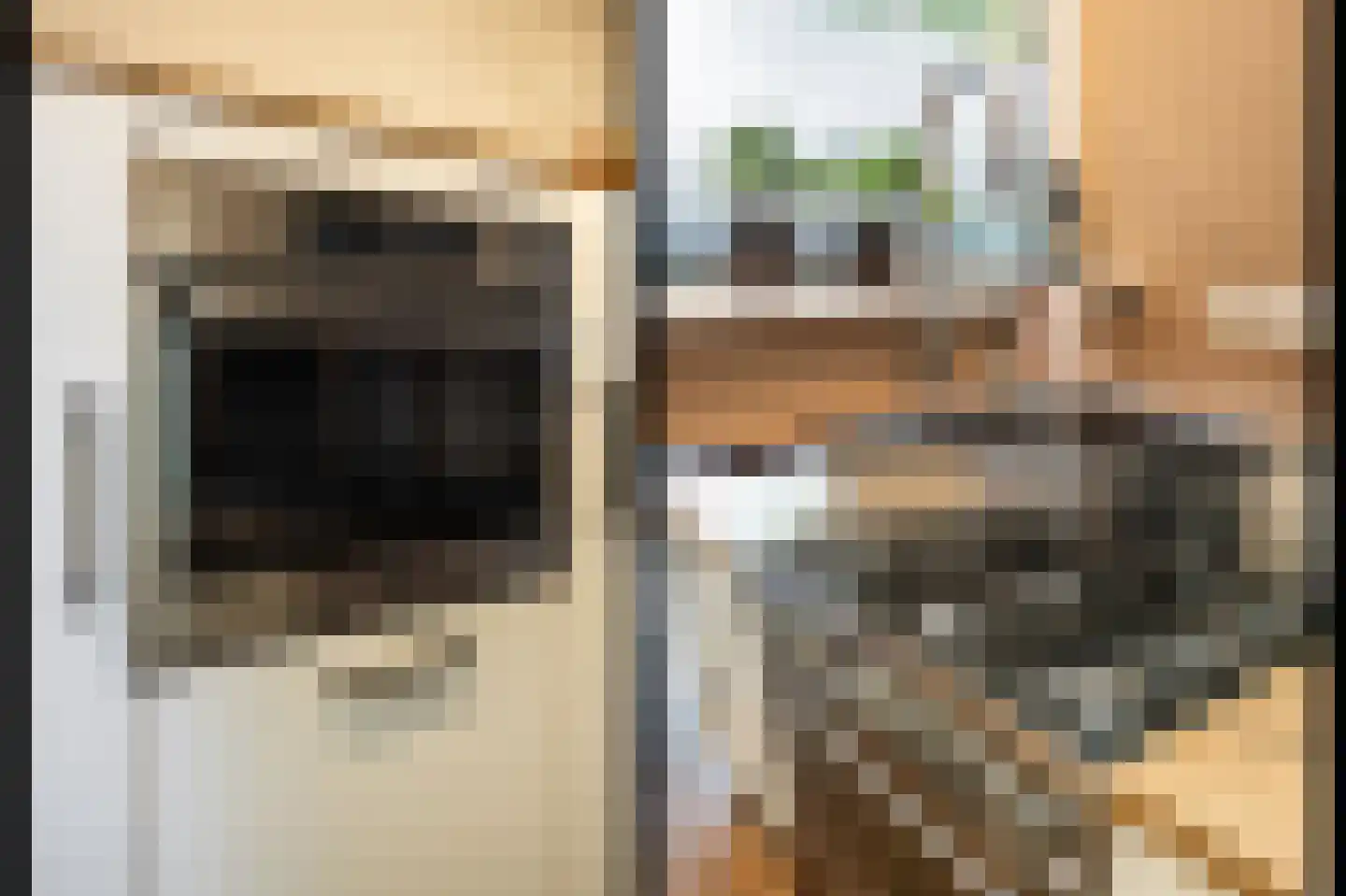 Buitentuin 109 Zaltbommel thumbnail 8