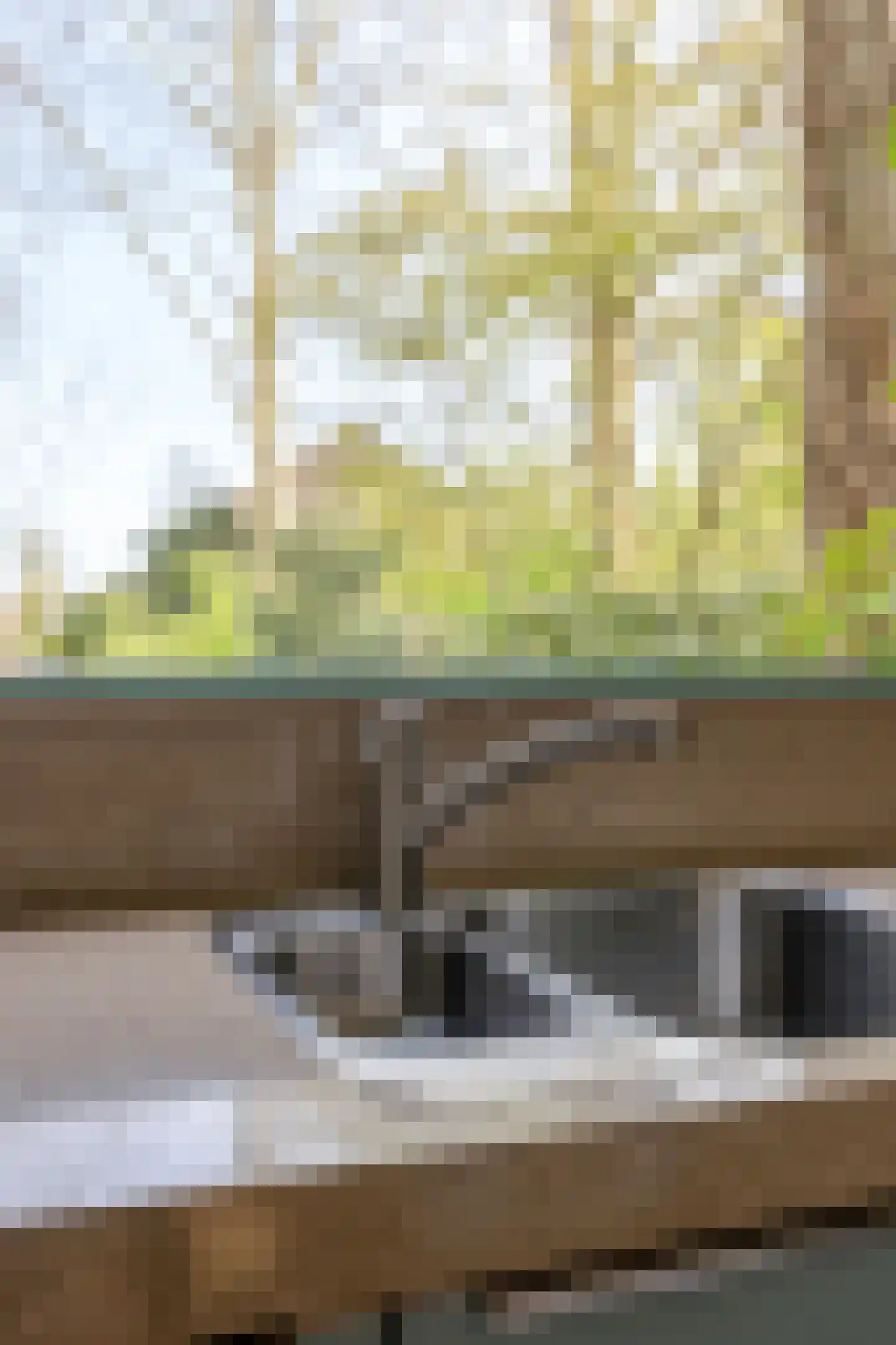 Buitentuin 112 Zaltbommel thumbnail 15