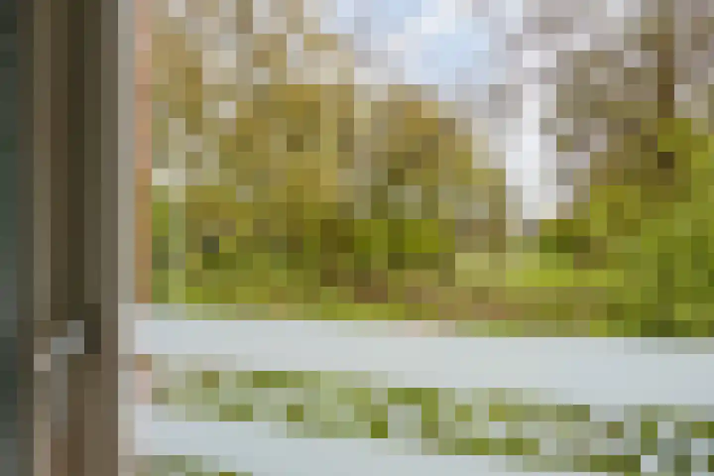Buitentuin 112 Zaltbommel thumbnail 21