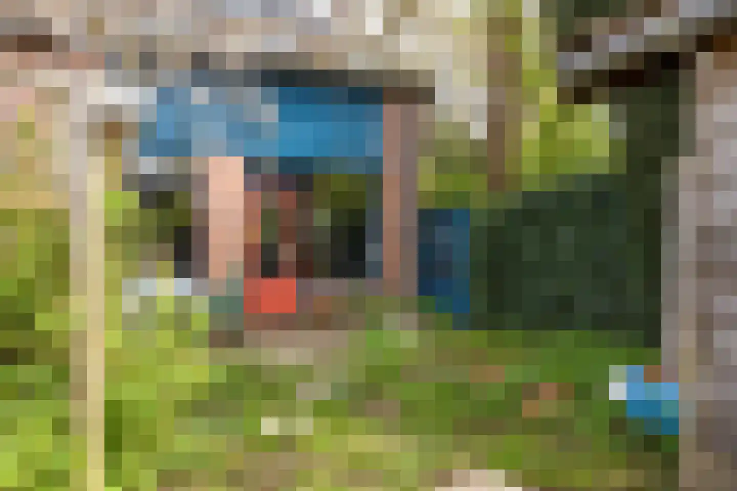 Buitentuin 112 Zaltbommel thumbnail 36