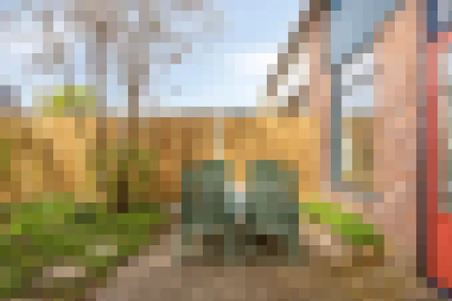 Buitentuin 112 Zaltbommel thumbnail 37
