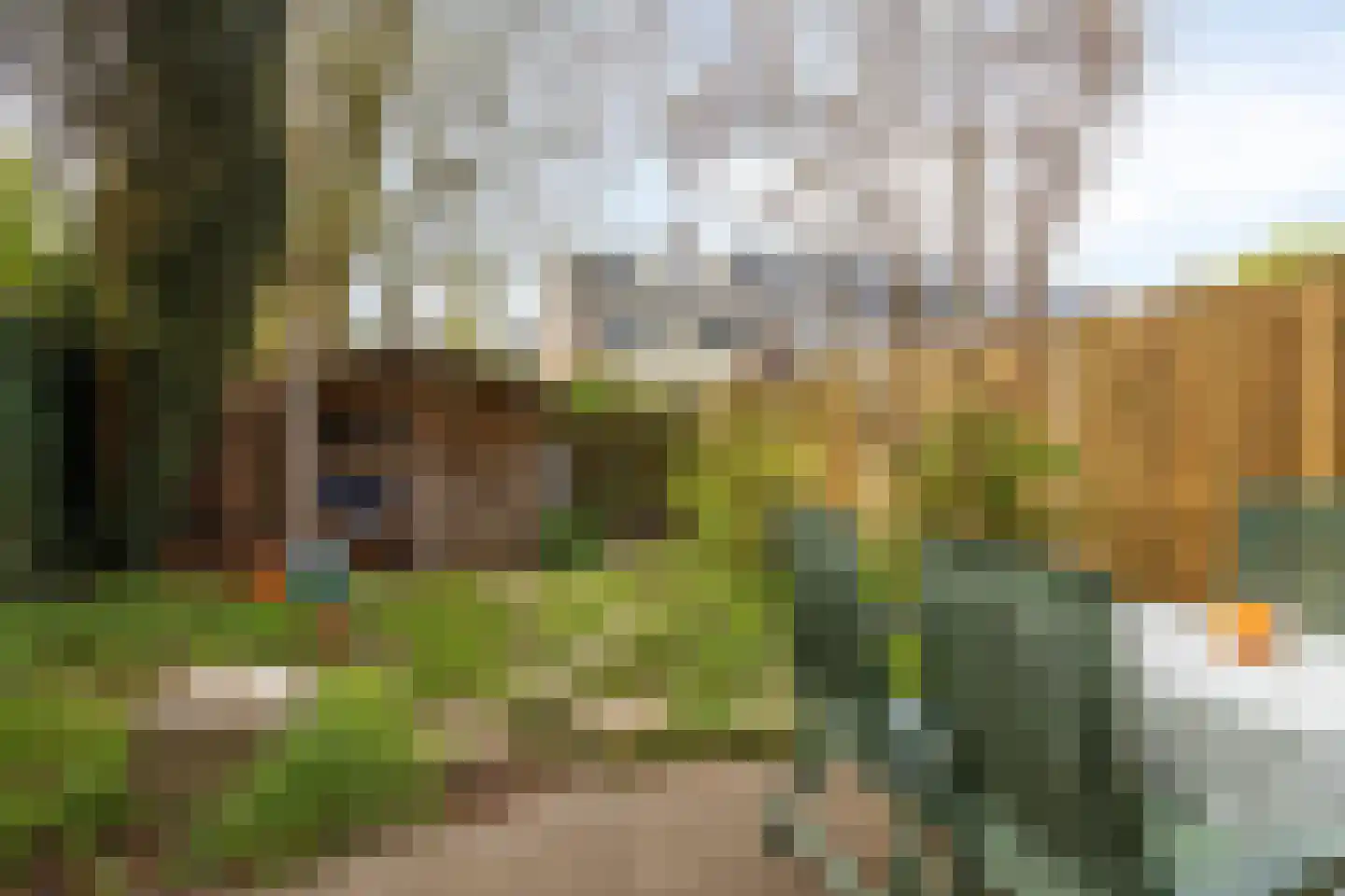 Buitentuin 112 Zaltbommel thumbnail 38
