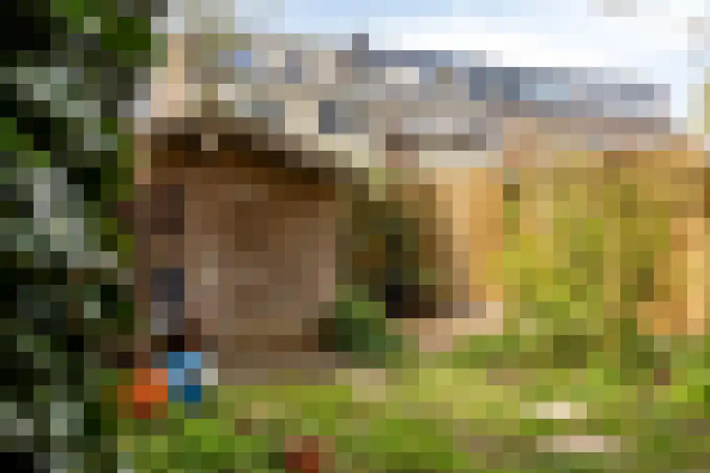 Buitentuin 112 Zaltbommel thumbnail 39