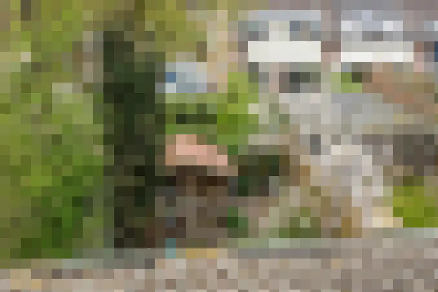 Buitentuin 112 Zaltbommel thumbnail 40