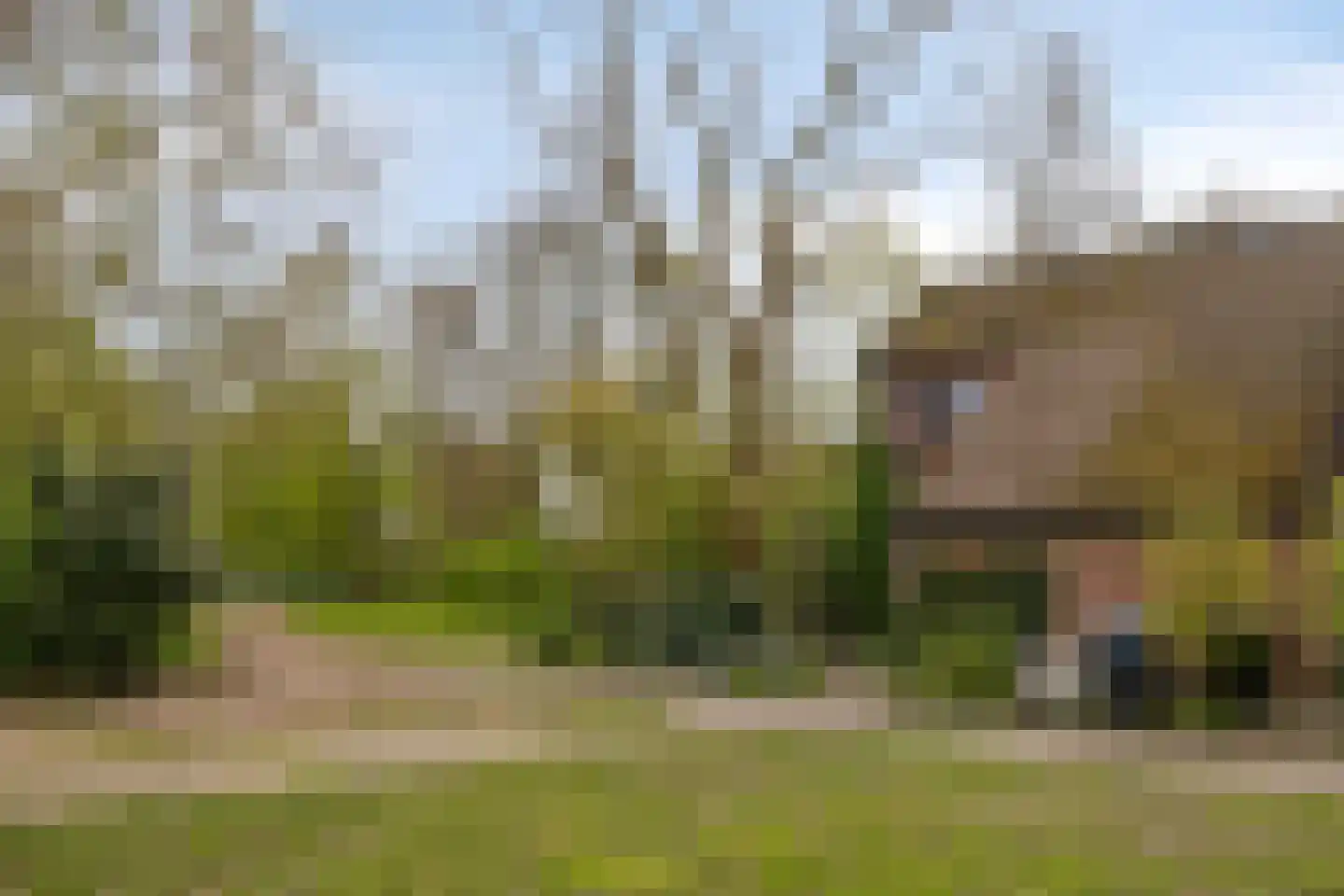 Buitentuin 112 Zaltbommel thumbnail 41