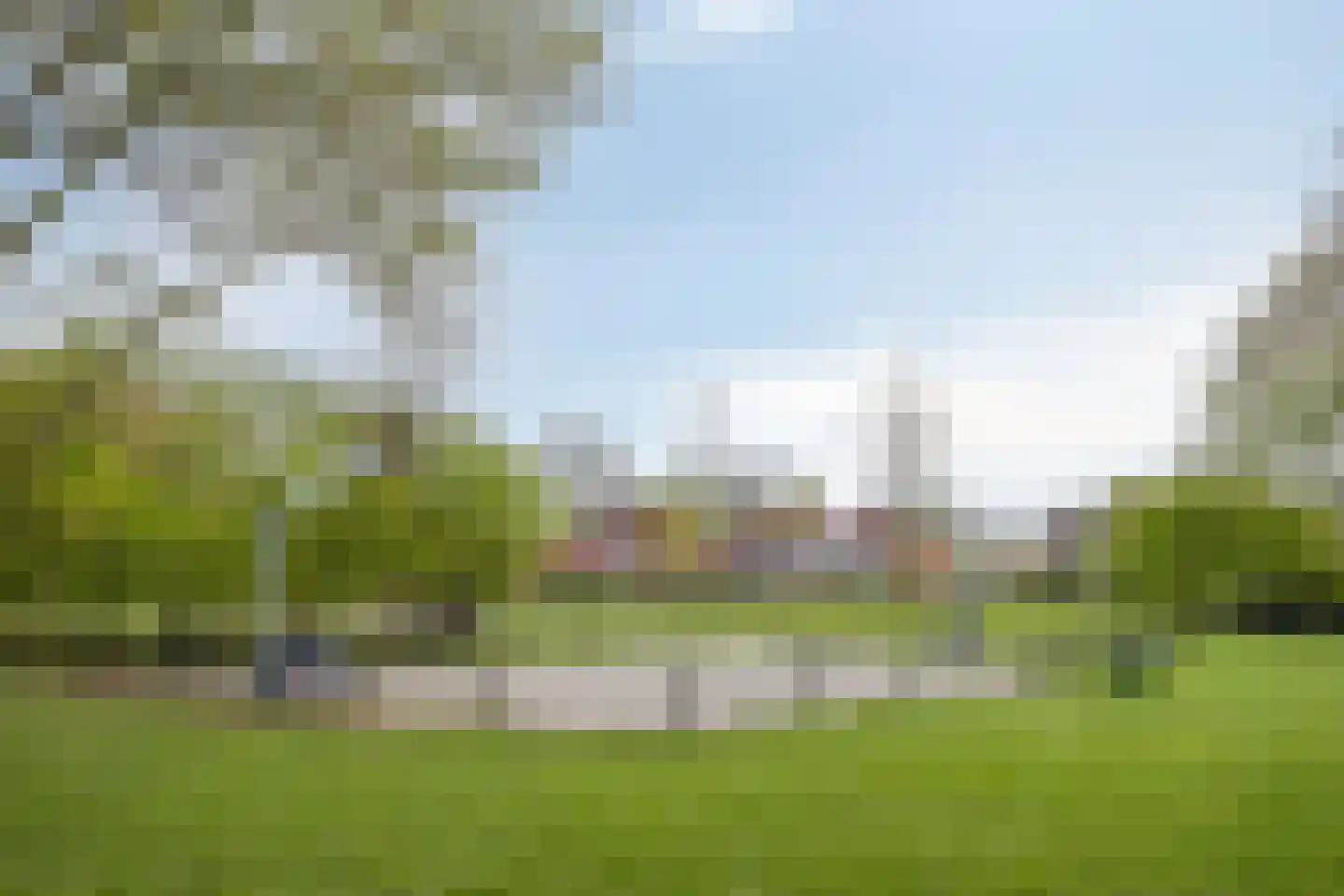 Buitentuin 112 Zaltbommel thumbnail 43