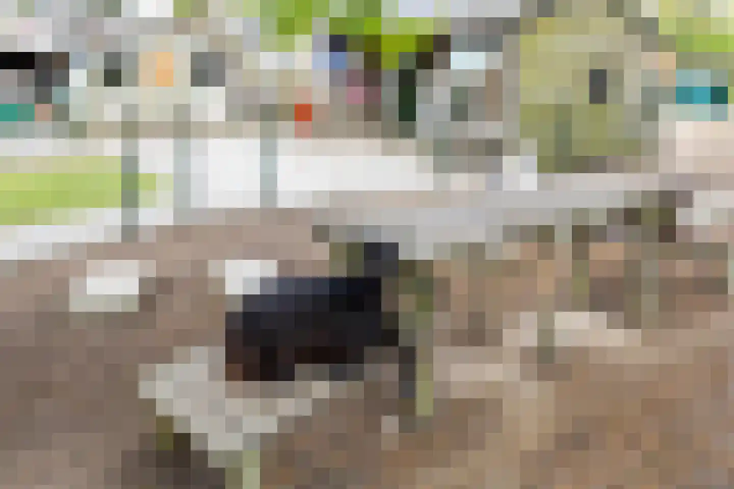 Buitentuin 112 Zaltbommel thumbnail 44