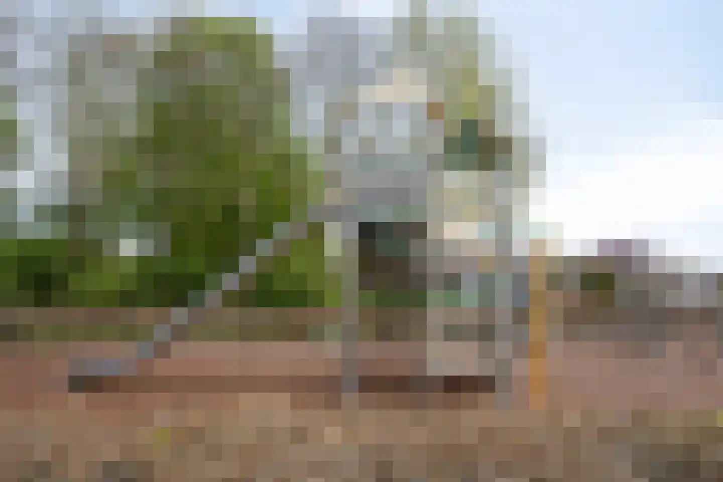 Buitentuin 112 Zaltbommel thumbnail 45