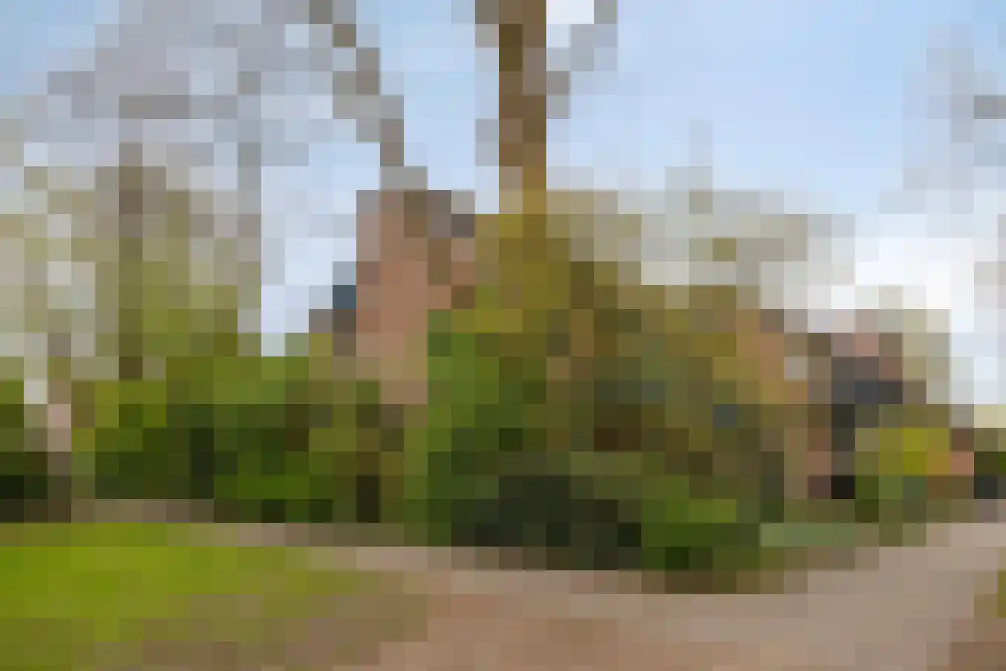 Buitentuin 112 Zaltbommel thumbnail 5