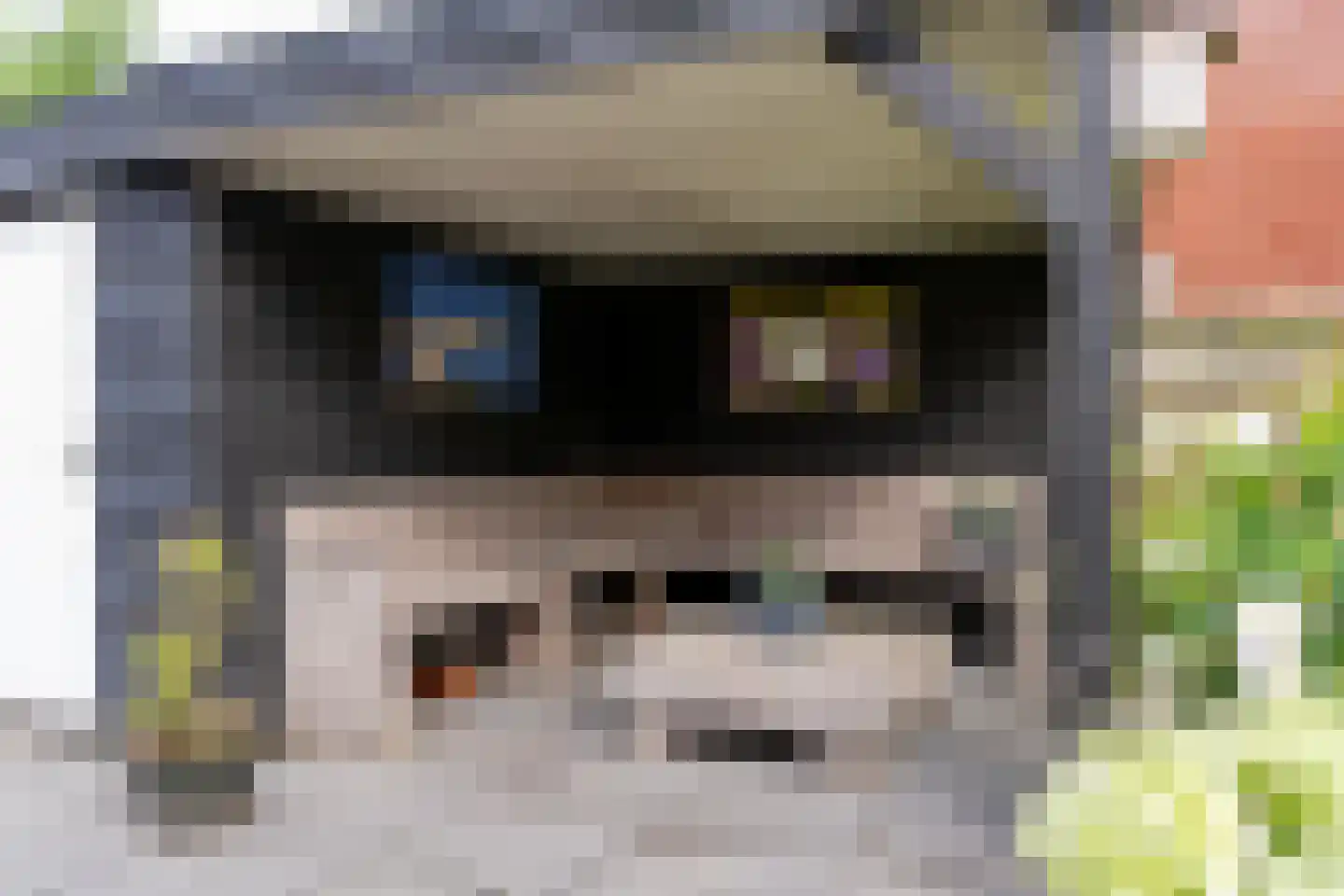 Buitentuin 2 Dokkum thumbnail 18