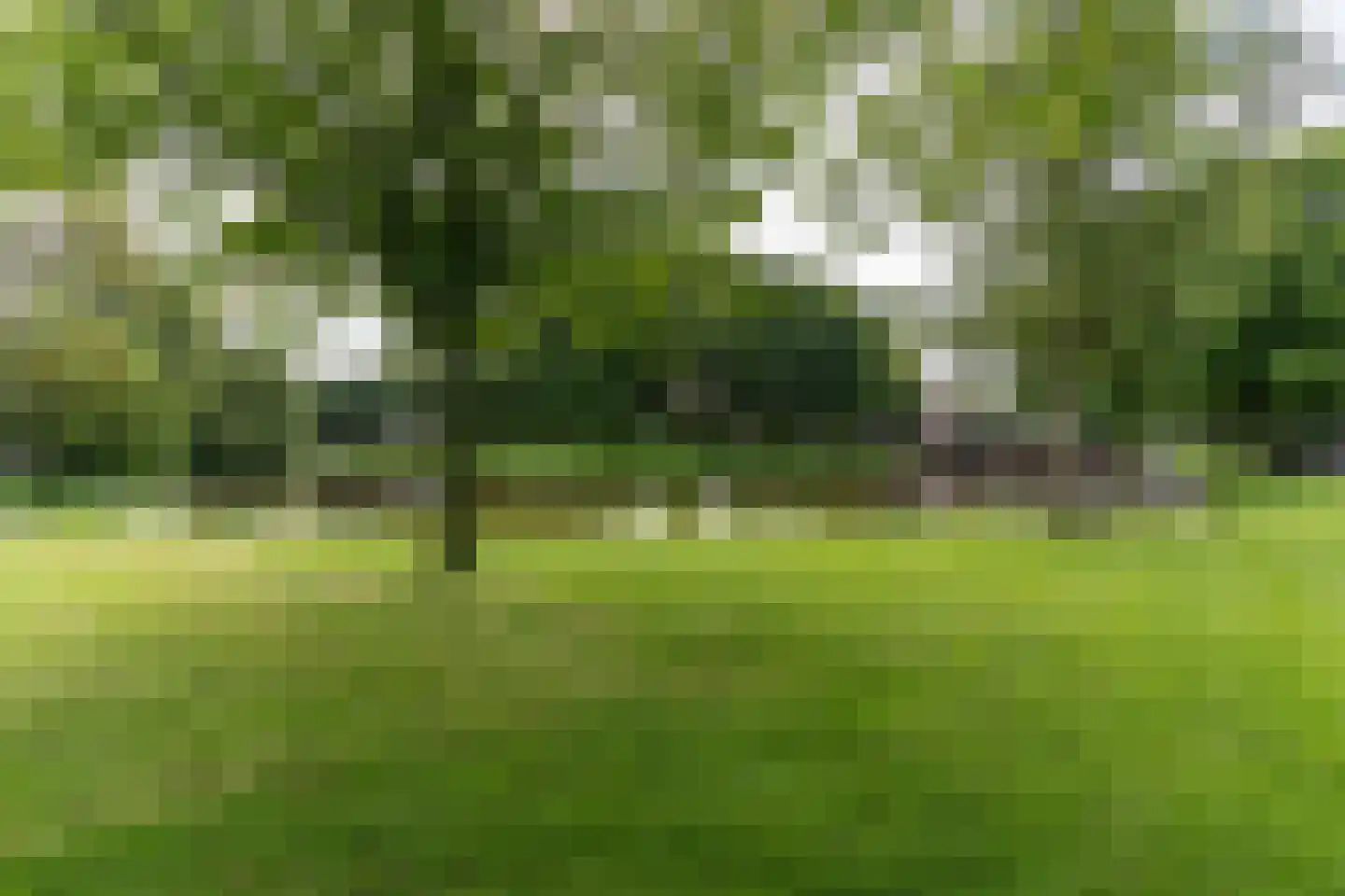 Buitentuin 2 Dokkum thumbnail 19