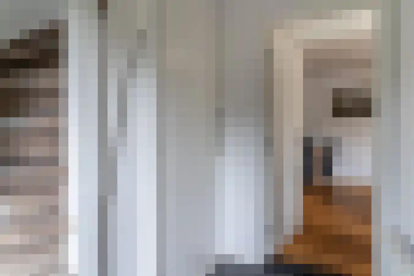 Buitentuin 2 Dokkum thumbnail 21