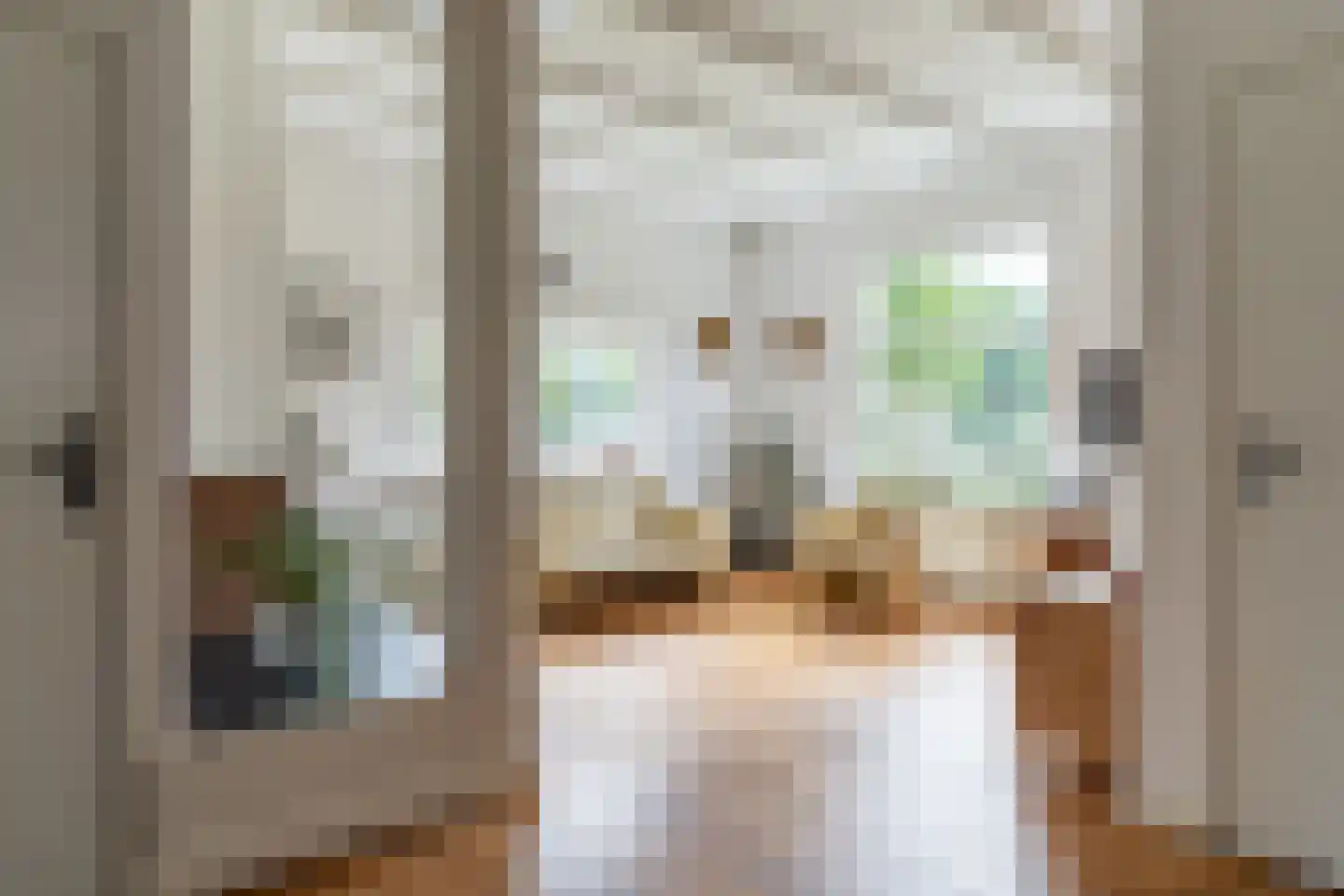 Buitentuin 2 Dokkum thumbnail 23