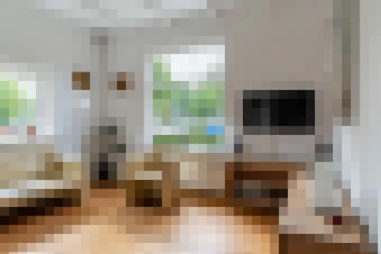 Buitentuin 2 Dokkum thumbnail 24