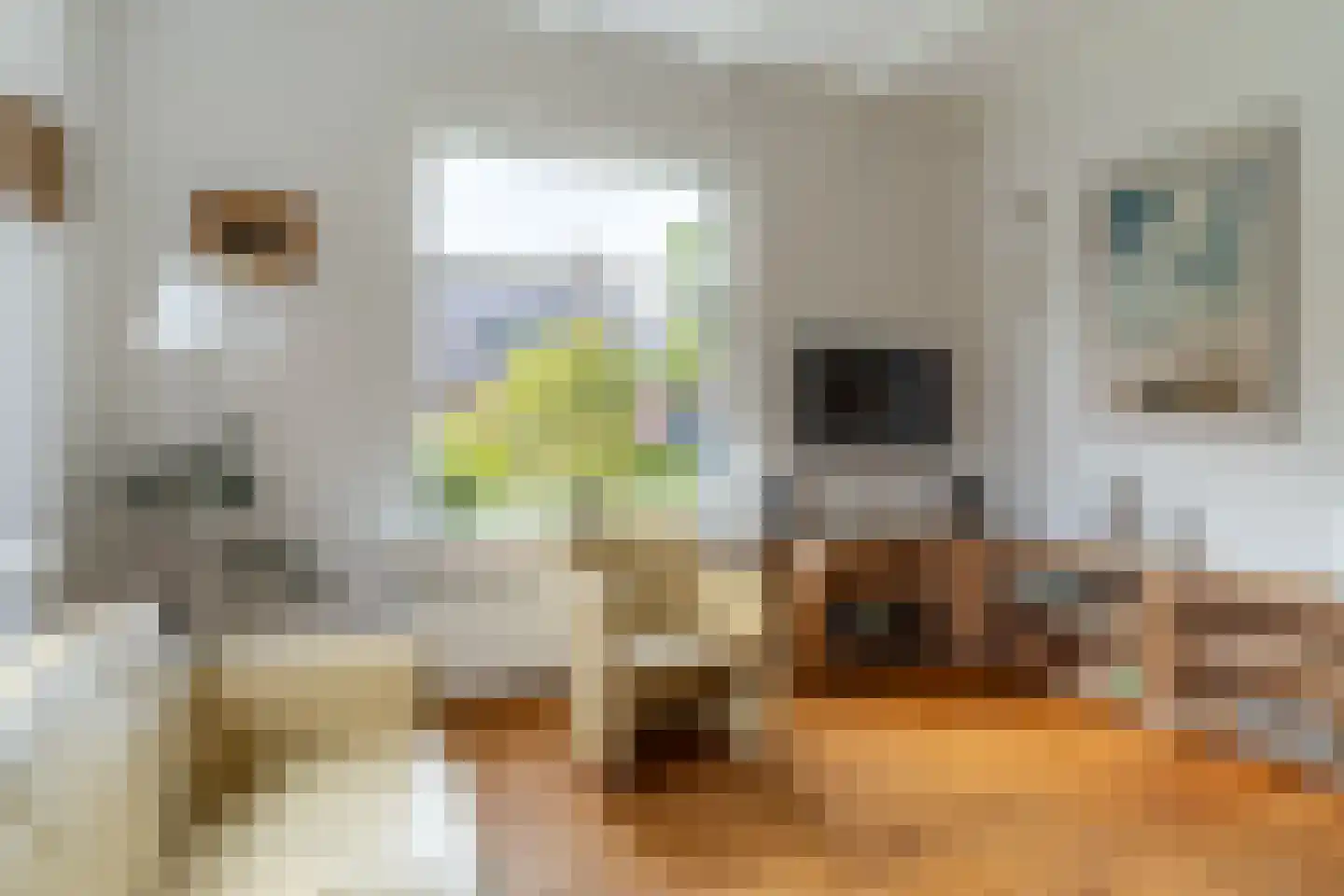 Buitentuin 2 Dokkum thumbnail 25