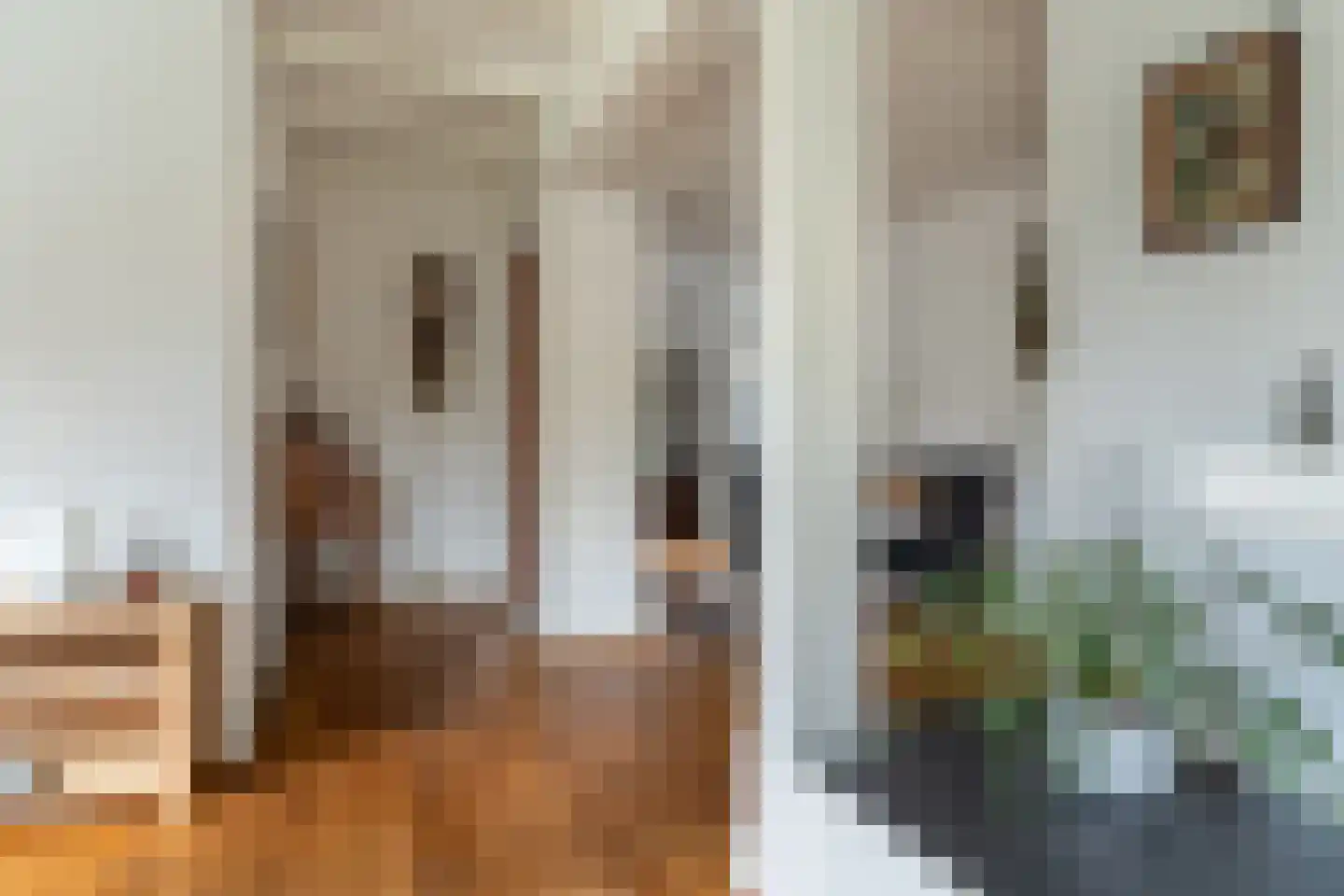 Buitentuin 2 Dokkum thumbnail 27