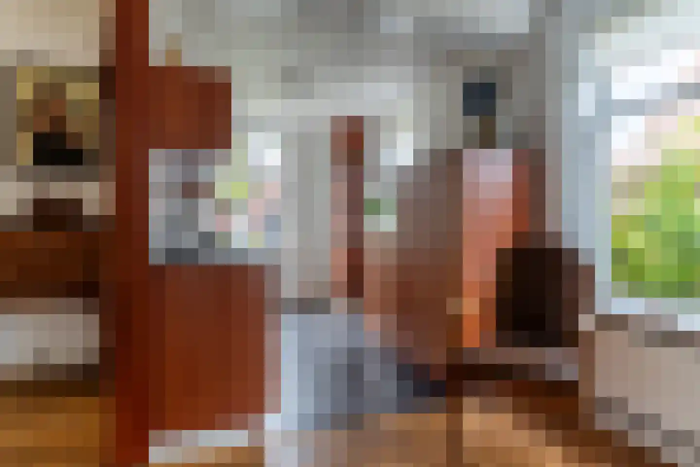 Buitentuin 2 Dokkum thumbnail 29