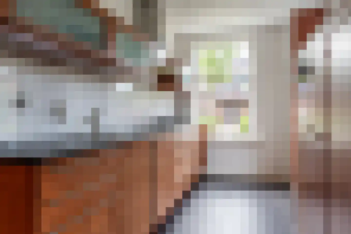 Buitentuin 2 Dokkum thumbnail 30
