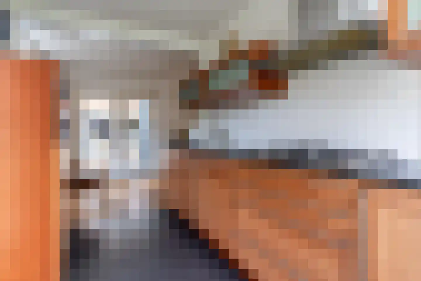 Buitentuin 2 Dokkum thumbnail 32
