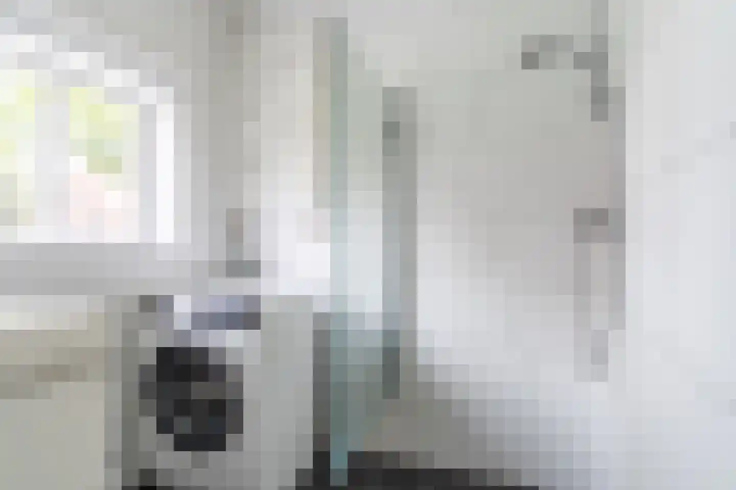 Buitentuin 2 Dokkum thumbnail 41