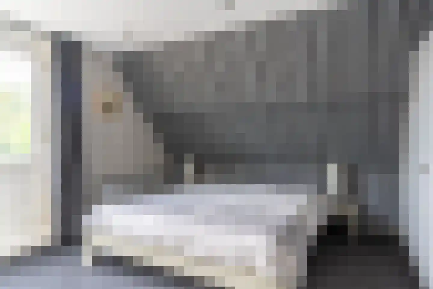 Buitentuin 2 Dokkum thumbnail 46
