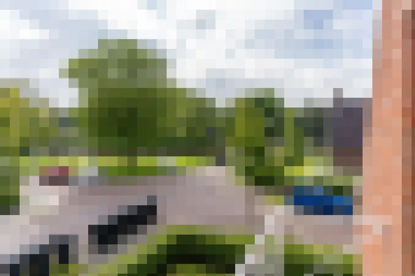 Buitentuin 2 Dokkum thumbnail 49