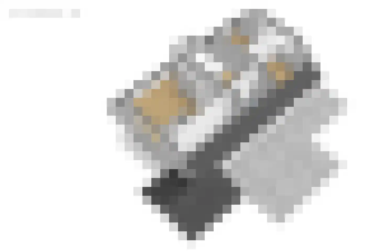 Buitentuin 2 Dokkum thumbnail 67