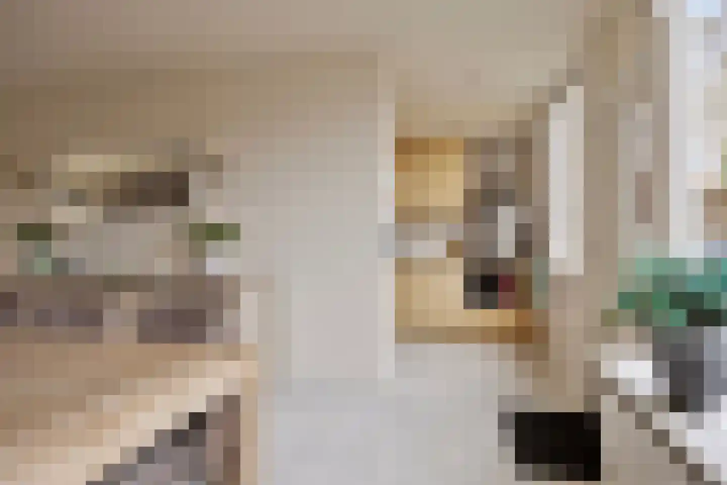 Buitentuin 50 Zaltbommel thumbnail 13