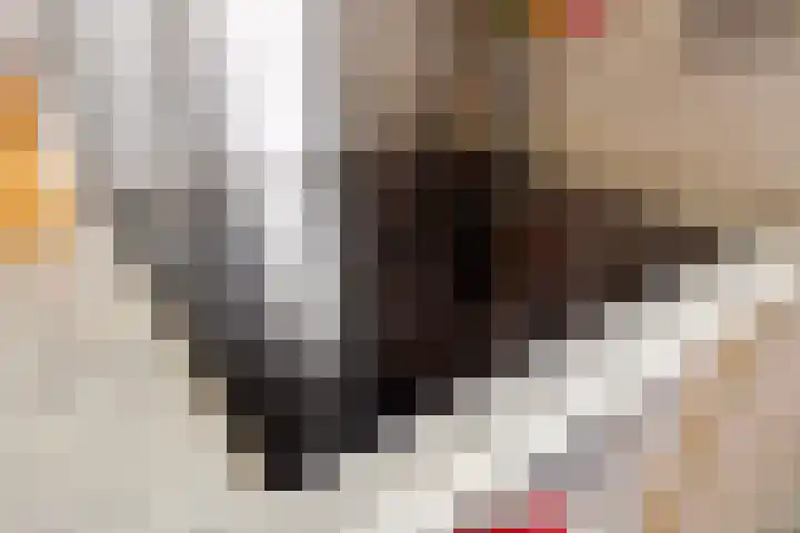 Buitentuin 50 Zaltbommel thumbnail 15