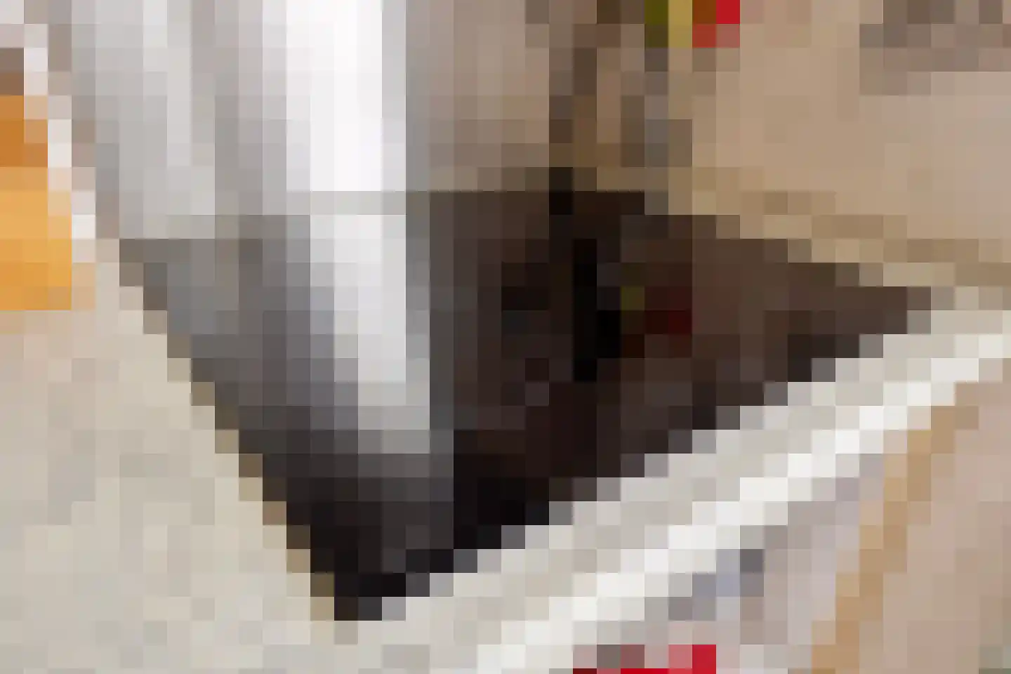 Buitentuin 50 Zaltbommel thumbnail 15
