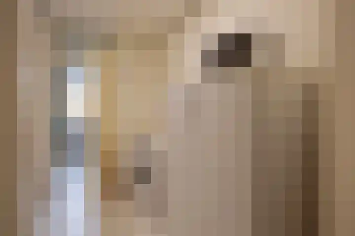 Buitentuin 50 Zaltbommel thumbnail 18