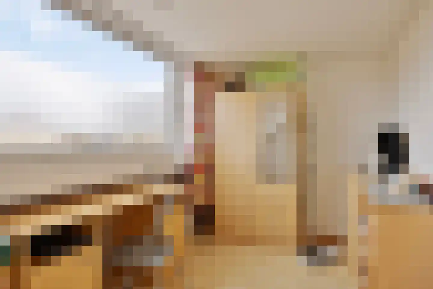 Buitentuin 50 Zaltbommel thumbnail 23
