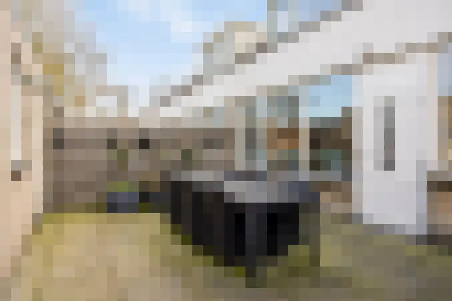 Buitentuin 50 Zaltbommel thumbnail 33
