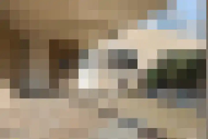 Buitentuin 50 Zaltbommel thumbnail 4