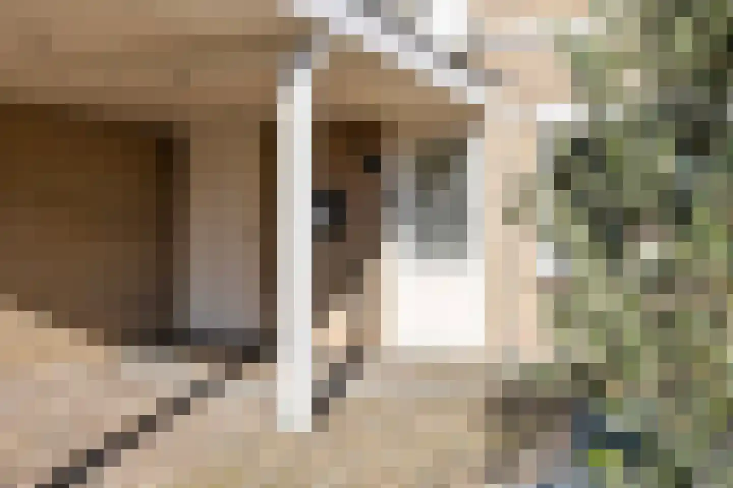 Buitentuin 50 Zaltbommel thumbnail 5