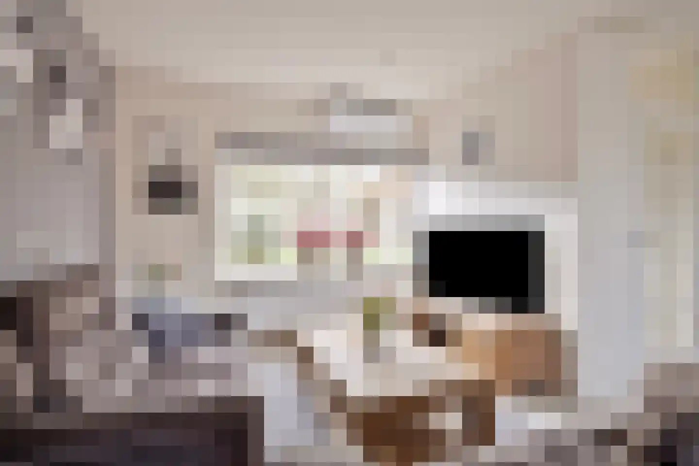 Buitentuin 50 Zaltbommel thumbnail 8