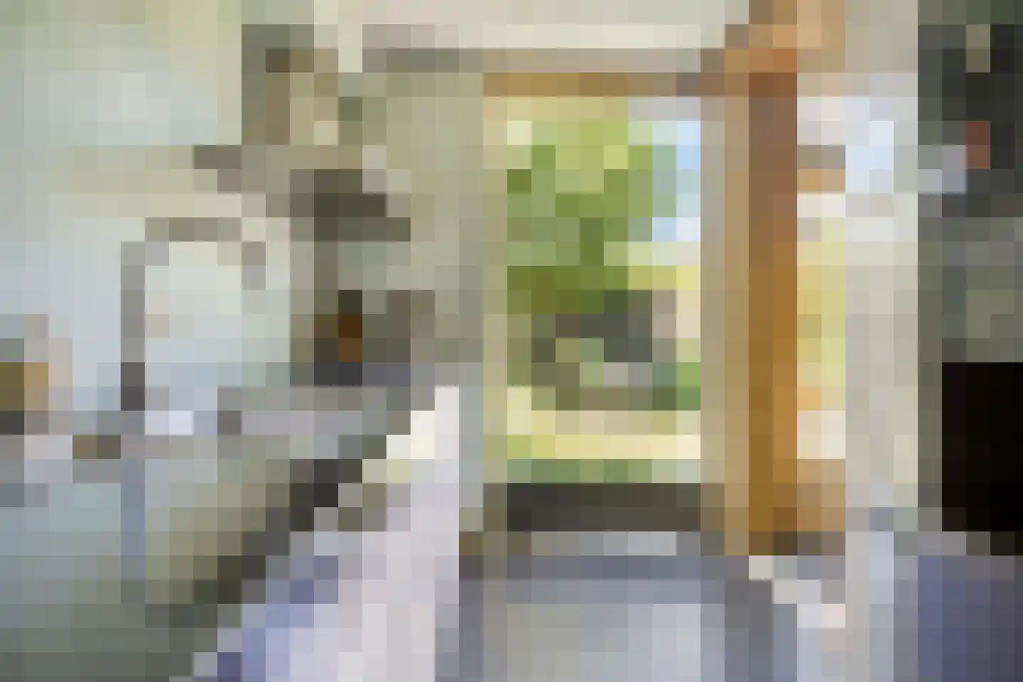 Buitentuin 64 Zaltbommel thumbnail 10