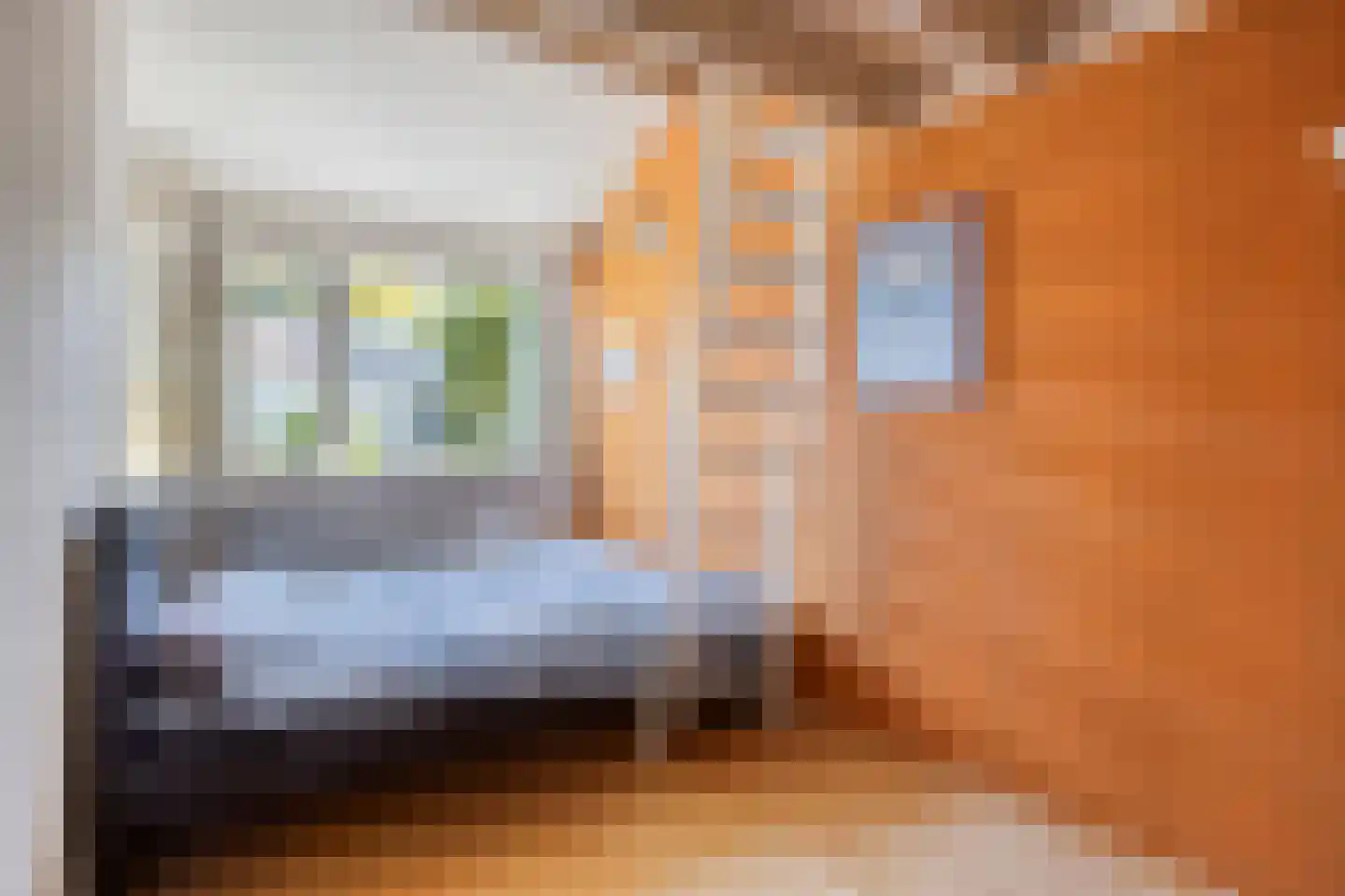 Buitentuin 64 Zaltbommel thumbnail 17