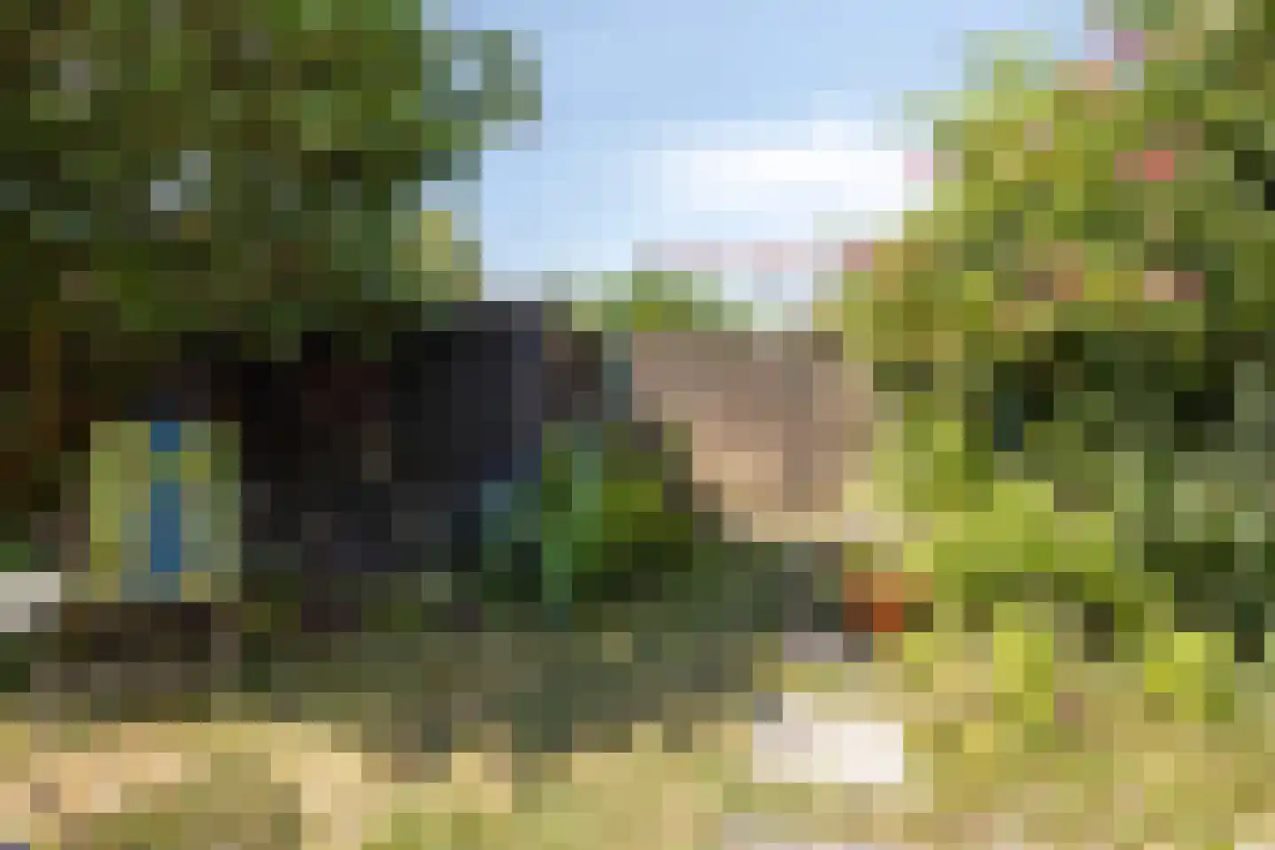 Buitentuin 64 Zaltbommel thumbnail 24