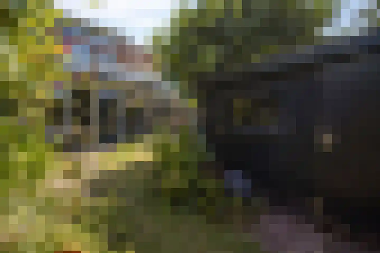 Buitentuin 64 Zaltbommel thumbnail 25