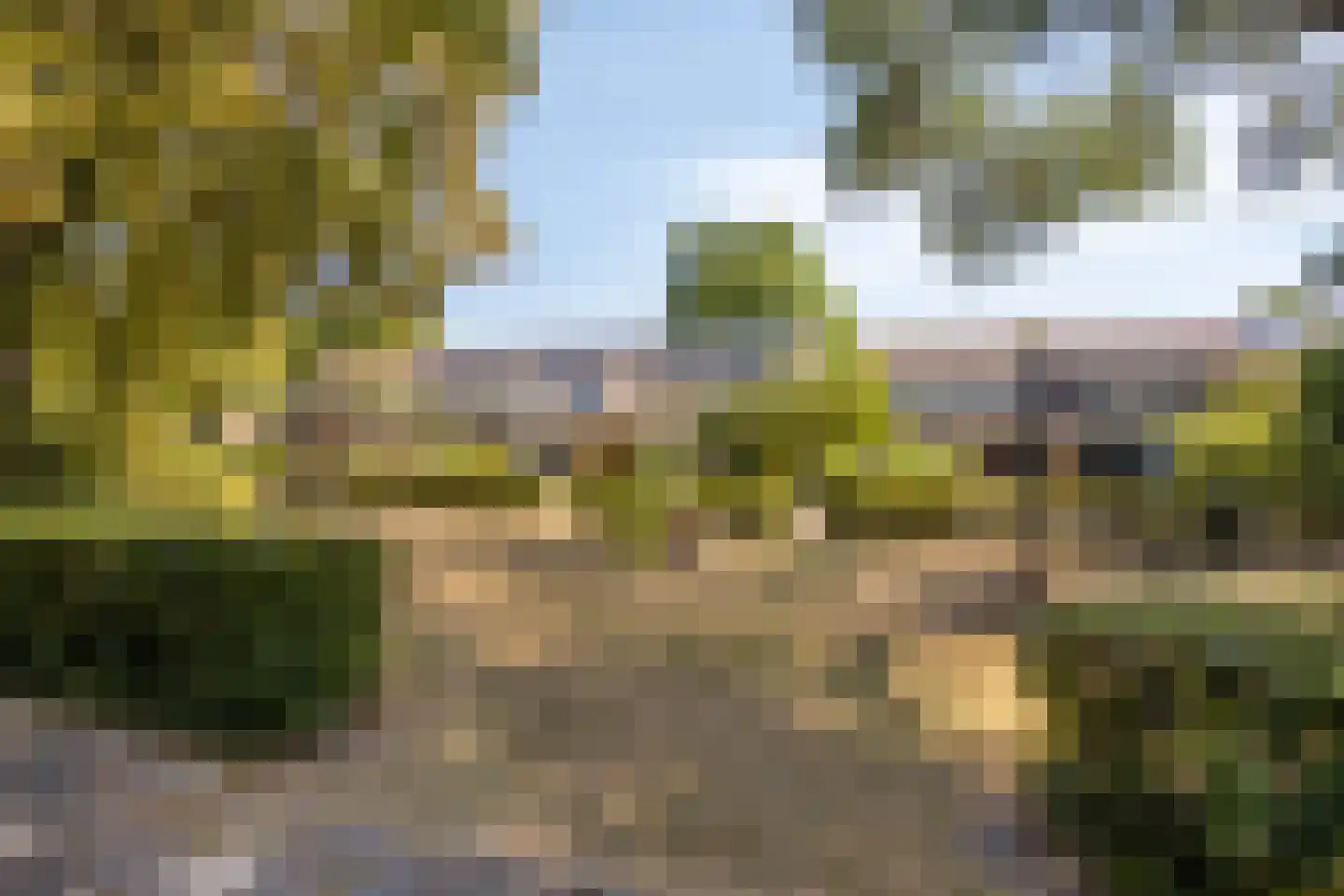 Buitentuin 64 Zaltbommel thumbnail 30